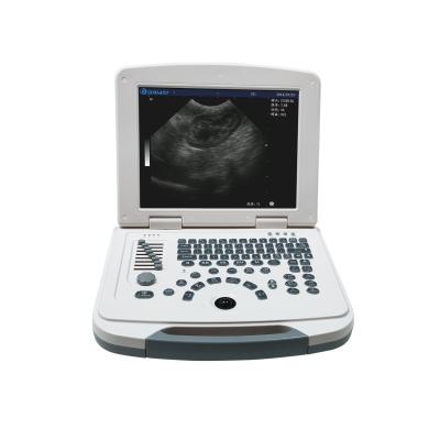 China Dawei Portable Veterinary Ultrasound Animal Health Diagnosis for Pets Near Me Pregnant Cat Ultrasound for sale