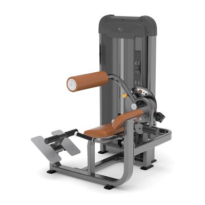 China Universal commercial gym equipment machine exercise roman chair/back extension for sale for sale