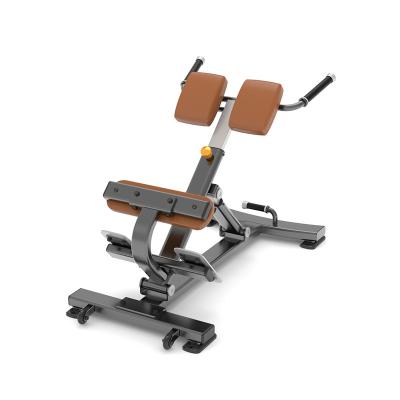 China 45 Degree Abdominal Extension Bench Back Exercise Bench Modern Gym Chair for sale