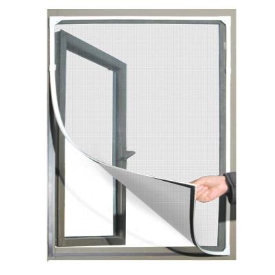 China Contemporary Horizontal Swinging Window Used Magnetic Insect Screen Window for sale