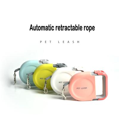 China 2022 New Spot Stored Portable Dog Leash With Handle Retractable Outdoor Use Automatic Dog Leash for sale