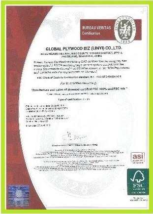 BV certificate - Global Plywood Biz (Linyi) Co.,Ltd.