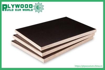 China F17 F14  Formply Film Faced Plywood 4'X8' 3/4' Phenolic Board Black/Brown/Yellow for sale