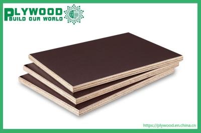 China Triplay Tableros Terciados Paneles Fenolic WBP Glue Pino Core Brazil Standard 1220*2440*18mm for sale