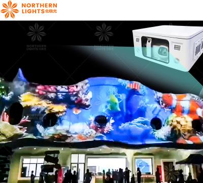 China Outdoor Laser Light Show Machine Animation Show Laser Commercial Lights Projector en venta