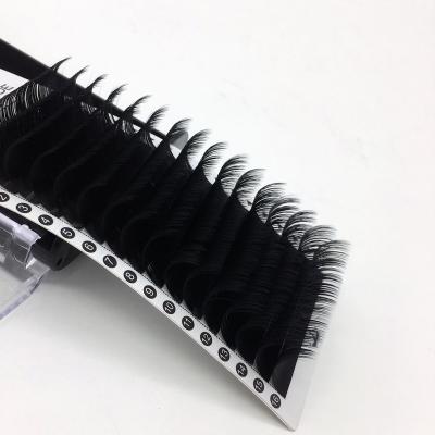 China Individual Lashes 0.03 0.05 0.07 Good Quality Cashmere Easy Fans Whips Blooming Lashes Volume Extensions Private Label C cc D Mega Tapered u DD for sale