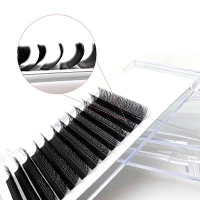 China Individual Lashes YY Lashes Private Label PBT Cashmere Silk Mink Extension Lashes 0.05 0.07 Volume Lashes OEM for sale