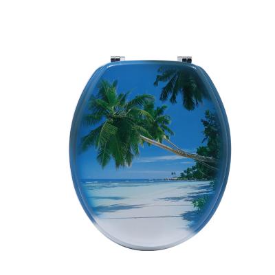 China Slow-end Toilet Seats Factory Source Wooden Waterproof Printing Removable Environmental Protection Toilet Seat Cover for sale