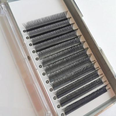 China Private label long volume y lashes aluminum back natural russian eyelash extensions korean pbt whips yy for sale