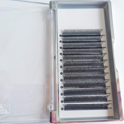 China 8-15mm Long 0.05 0.07 Natural Hot Selling Premium Lashes Yy Shape Lashes Mix Length Y Volume Eyelash Extension for sale