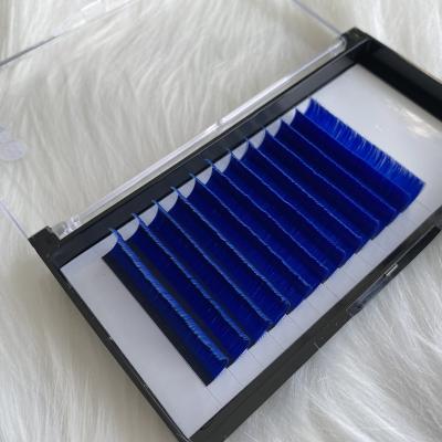 China Wholesale Natural Soft Colored Easy Fan Eyelash Extension Two Layer PBT Foil Volume Lash Tray Easy Fanning Custom Your Own Brand for sale