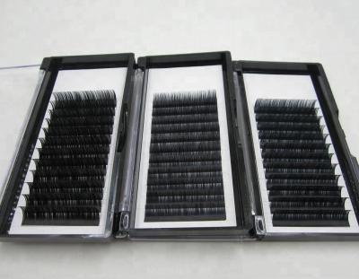 China Long Natural Camellia Eyelash Extensions Lashes Individual Mink Extension for sale