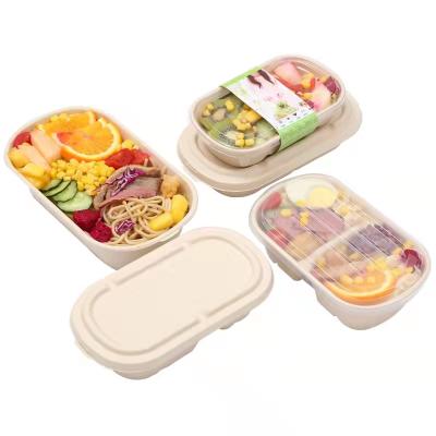 China Eco-Friendly Biodegradable Disposable Cornstarch Bento Lunch Box Food Container Take-out Biodegradable Compartment Accept Customization for sale