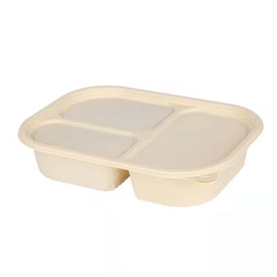 China Biodegradable Various Styles Disposable Eco Disposable Takeaway Kids And Adults Lunch Dessert Bento Cake Snack Box Packaging for sale