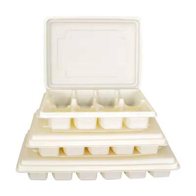 China Environmentally Friendly Food Packing Sushi Tray Fast Food Container Packaging Box Sushi And Boiled Biodegradable Dumplings Tray With Compartments for sale