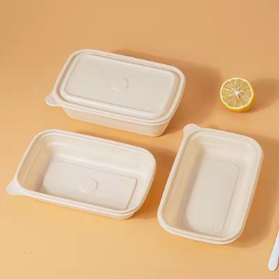 China 3 Compartment Disposable Meal Tray Pp Plastic Bento Lunch Box Custom Food Container for sale