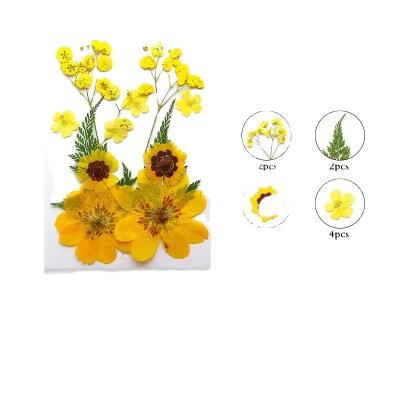 China Festival 18-24pcs Mixed Flower Set DIY Embossing Dry Flower Photo Frame Soap Phone Case Glue Relief Plants Handmade Natural Wholesale for sale