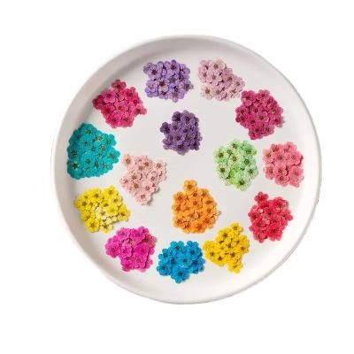 China Festival Flowers and Leaves 12pcs DIY Art Craft Kit Dry Embossed for Resin Jewelry Mold Candle and Soap Making Factory Wholesale for sale