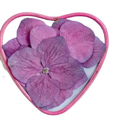 China Festival 12pcs Dried Flower Embossed DIY Handmade For Natural Scented Candle Phone Case Material Photo Frame Hydrangea Wholesale for sale