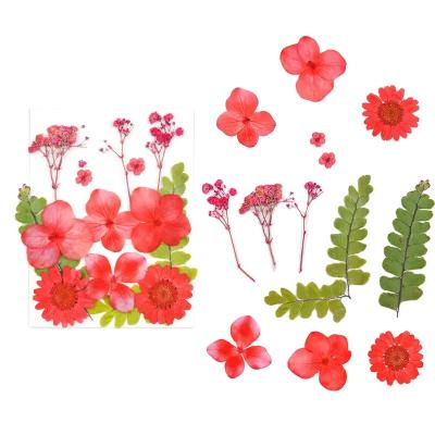 China 12pcs Festival Dried Flowers Resin Mold Craft DIY Nail Art Factory Decoration Embossed Dry Natural Painting China Factory Wholesale for sale