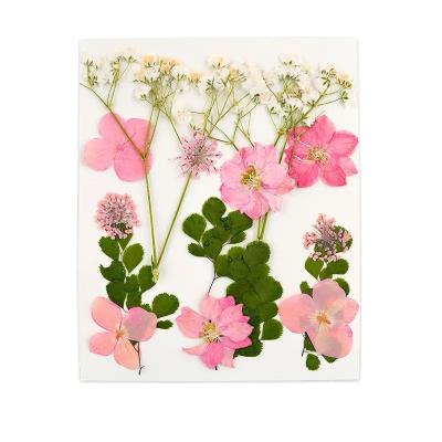 China New Festival 15pcs Dry Flower DIY Material For Resin Mold Making Phone Case Jewelry Tools Butterfly Flower Pins Factory Wholesale for sale