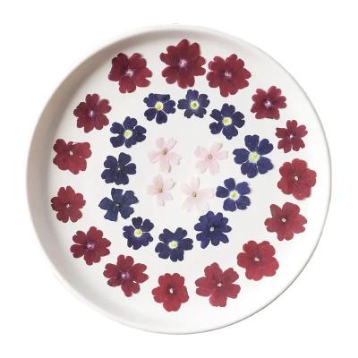 China Festival 12 Pieces Flower Plant Resin DIY Immortalized Dry Epoxy Handmade Makeup Photo Props Wholesale Resin Photo Album Photo Props for sale