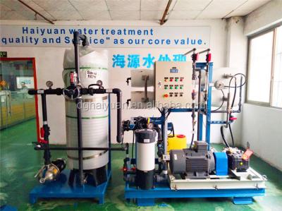 China 1000LPH zeewaterro Installatie, Systeem 99,6% van Zout Waterro Verwerping Te koop