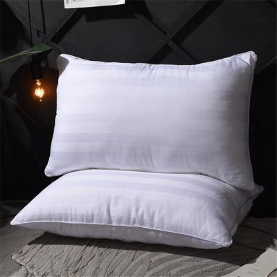 China 100% Polyester Anti-Static Microfiber Bag Pillow Case Pillow Open Shell for sale