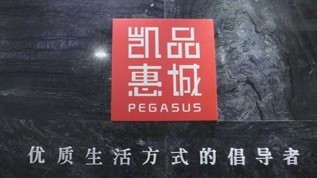 Verified China supplier - Pegasus International Business Co., Ltd.