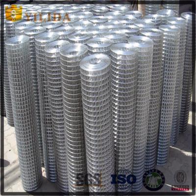 China Durable And Beautiful Hot Galvanized Welded Wire Mesh Rolls For Fence for sale