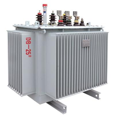 China 80kVA Oil Form Electrical Toroidal Power Distribution Transformer for sale