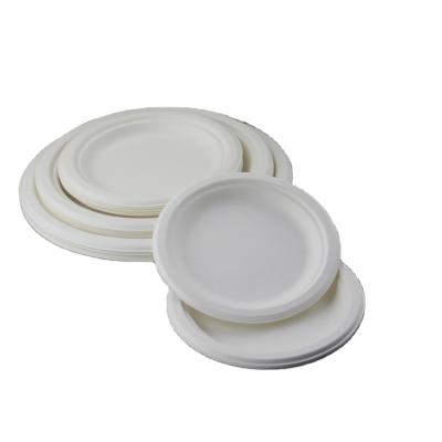 China Disposable 7 Compartment Sugar Cane Paper Plate Disposable Set for sale