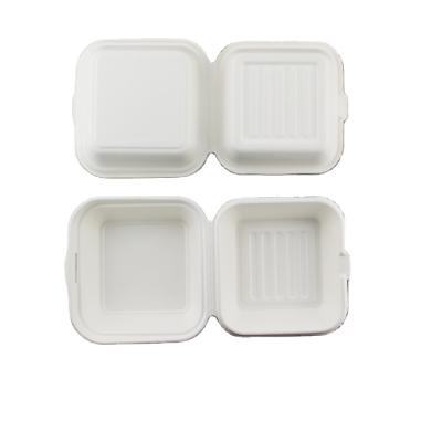 China Freezer Disposable Eco-Friendly Biodegradable Food Container for sale