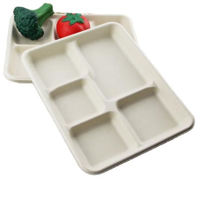 China Environmentally Friendly Microwave Meal Disposable Food Sugar Cane Lunch Box for sale