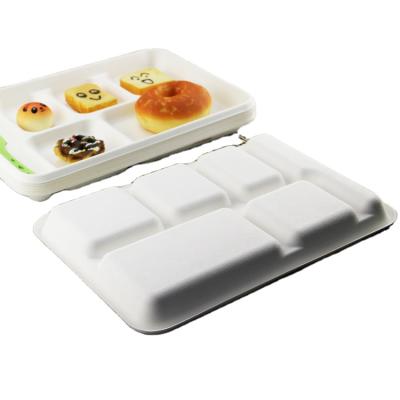 China Environmental Friendly Take Out Thailand Disposable Bento Food Sugar Cane Lunch Box for sale