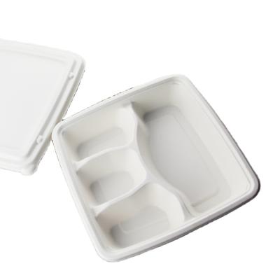 China Eco Friendly White Biodegradable Disposable Sugar Cane Lunch Box for sale