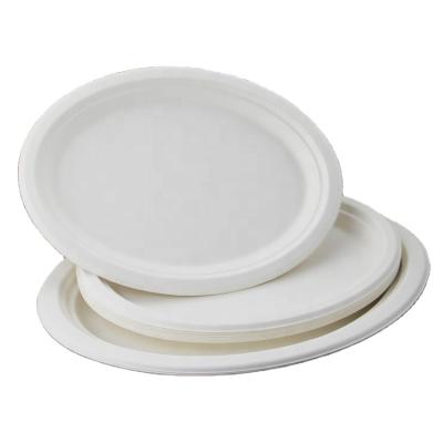 China Disposable Oval Shape Fish Food Sugar Cane Disposable Plate Compostable for sale