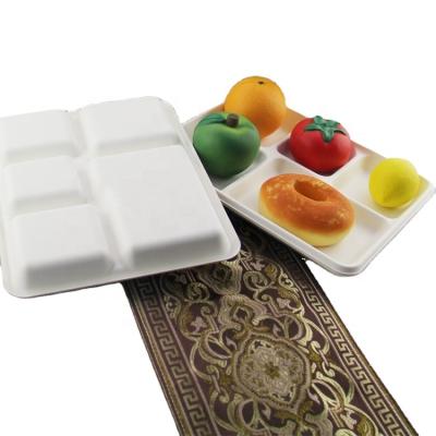 China YT's BIO GREEN line disposable production Sugar Cane Plates of 5 compartments for sale