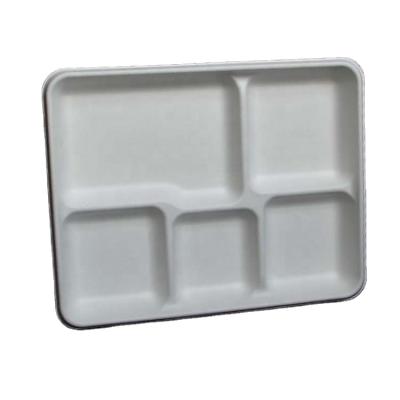 China Square 5 Compartment Disposable Tray Fast Food Sugar Cane Disposable Dishes for sale