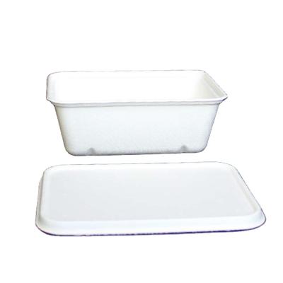 China disposable disposable to go food container for sale