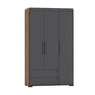 China New Design Modern Cheap Melamine Wall Cabinet Wardrobe Wooden Cabinet for sale