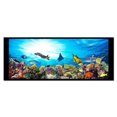 China 6,86 Stangen-Art des Zoll-480x1280 ringsum TFT LCD-Sonnenlicht lesbares NV3051F1 zu verkaufen