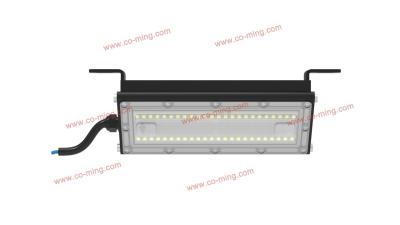 China luces asimétricas del tabique hermético del metal G5 de 30W IP66 IK10 para el túnel en venta