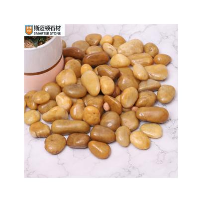 China Decorate clean hot sale yellow color river pebble stone price for sale