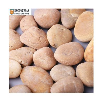 China Decorate Pebble Yellow Natural Yellow Pebbles Best Quality Premium High Polished for sale