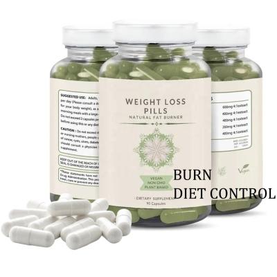 China Weight Loss Kidney Bean Extract Green Tea White Extract OEM/ODM Supplies Natural Diet Energy Pills Weight Loss Capsules for sale