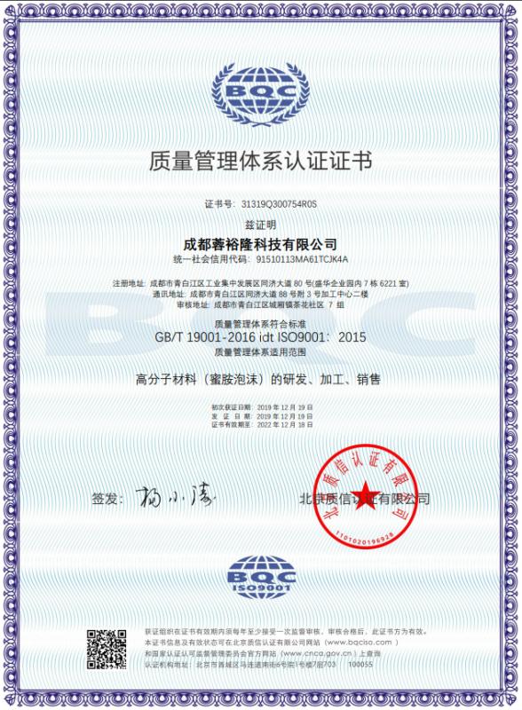 ISO9001 - Chengdu Rongyulong Technology Co., Ltd.