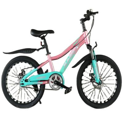 China OEM 2 Steel Wheels 20 Inch Bicycle Cycling For Kids Mountain Bike for sale