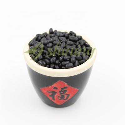 China Good quality dry kidney bean caraota black frijol for sale