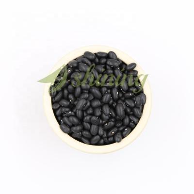 China Dry black kidney beans of the best of the negros prices of Frijoles for sale